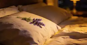 Foto: (Imagem sem texto alternativo disponivel ID [2702515])