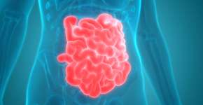 Foto: (iStock/magicmine)