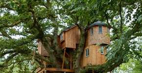 Em Harmonia com a natureza: empresa desenvolve casas na árvore no meio da floresta