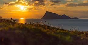 Foto: (Divulgação/ Sommarøy Arctic Hotel Tromsø)