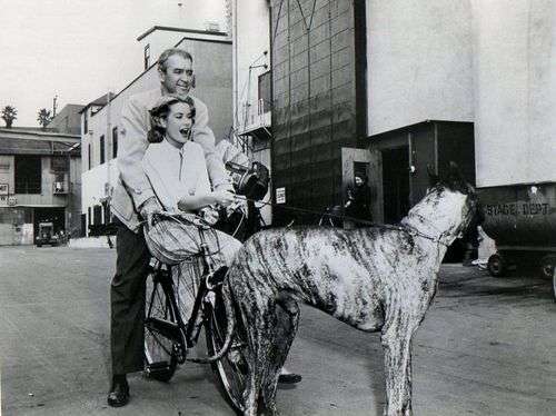 Jame Stewart e Grace Kelly