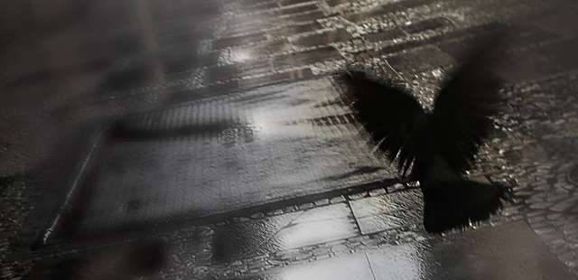 Exposição ‘Régis, cadê você?’ de Lucia Lang