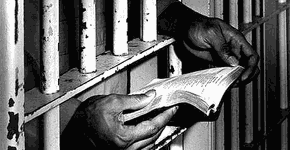 Foto: (Imagem sem texto alternativo disponivel ID [410048])