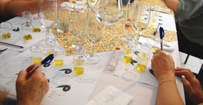 Foto: (Imagem sem texto alternativo disponivel ID [821324])