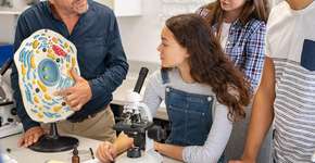 Aprenda os principais conceitos da biologia celular