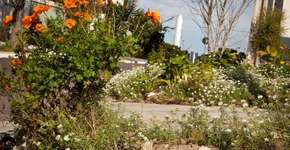 Foto: (Imagem sem texto alternativo disponivel ID [941601])