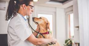 Foto: (Mordolff/iStock)