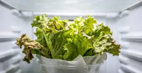 Foto: (Imagem sem texto alternativo disponivel ID [2709388])