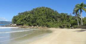 Litoral de SP tem 38 praias improprias para banho de mar