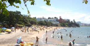 Foto: (Imagem sem texto alternativo disponivel ID [1393932])