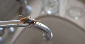 Foto: (iStock/KLH49)