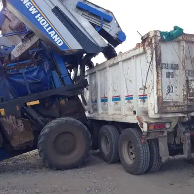  Como as uvas se rompem, o processo de fermentação começa já no caminhão.