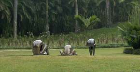 Foto: (Imagem sem texto alternativo disponivel ID [1438305])