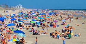 Nova Jersey terá praia ‘exclusiva’ para cachorros