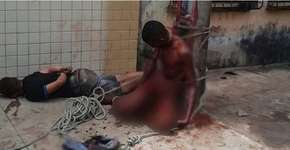 Foto: (Imagem sem texto alternativo disponivel ID [1112323])