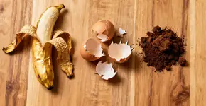 Foto: (Imagem sem texto alternativo disponivel ID [2673192])