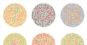 Foto: (eveleen007 - Fotolia)