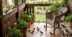 Foto: (Imagem gerada por IA/Gemini)