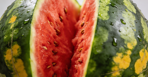 Foto: (Imagem sem texto alternativo disponivel ID [2728458])