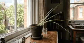 Foto: (Imagem sem texto alternativo disponivel ID [2764861])