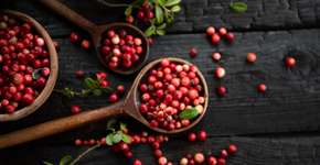 Cranberry na prevenção da infecção urinária: funciona mesmo?