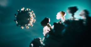 Universidade identifica variante que combina Ômicron com Delta