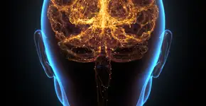 Exercício que potencializa o cérebro e beneficia quem tem Parkinson