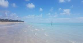 Foto: (Divulgação)