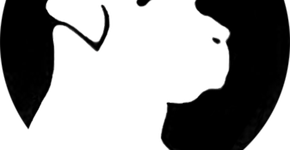 Show e performance na Matilha Cultural