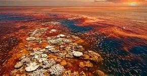 Pela primeira vez em 40 anos, o oceano quebrou seu ciclo natural: os ecossistemas estão em risco e alarmes soam entre os cientistas