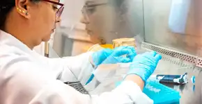 Foto: (Divulgação/IEL)