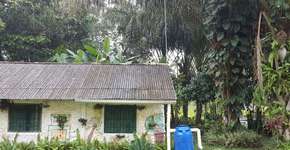 Alunos no PA criam filtro que transforma água da chuva em potável