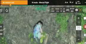 Menina sonâmbula se perde em floresta e caso tem final surpreendente e inesperado