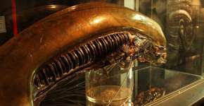 Foto: (Imagem sem texto alternativo disponivel ID [1864829])