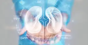 Câncer de rim: 8 mitos e verdades sobre essa doença silenciosa