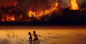 Focos de incêndios na Amazônia aumentam 30% em 2019