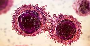 Foto: (Depositphotos/katerynakon)