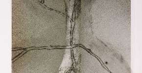 Foto: (Imagem sem texto alternativo disponivel ID [1842737])