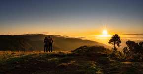 Foto: (Reinaldo Opice)