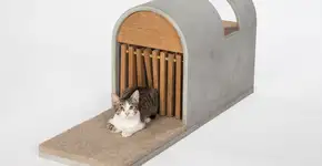 Conheça projetos criados especialmente para os gatos