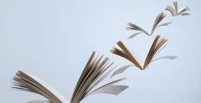 Foto: (Getty Images)