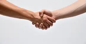 Foto: (iSTock/M-KOIZUMI)