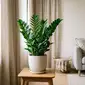 Da redação: Qual é a planta mais resistente e elegante para decorar sua casa de forma natural?