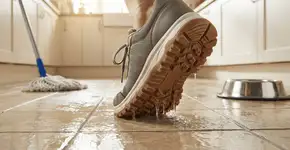 Foto: (Imagem sem texto alternativo disponivel ID [2753343])