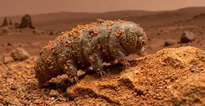 Esses pequenos animais foram considerados os verdadeiros ‘guardiões da galáxia’, em uma história que combina biologia extrema e proteção planetária