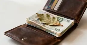 A simpatia da folha de louro que promete atrair dinheiro em 7 dias