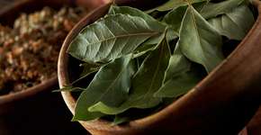 4 truques que reduzem o desconforto dos gases causados pelo feijão