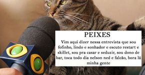 O que o ‘gatinho da entrevista’ diria sobre cada signo?