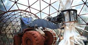 Inhotim faz promoção ‘pague um, ganhe outro’ em março