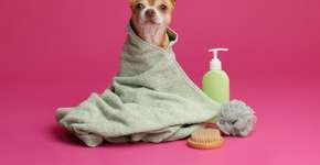 Foto: (Imagem sem texto alternativo disponivel ID [2738994])